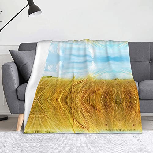 ZENPREI Paddy Rice Field - Manta de franela acogedora y ligera para sofá (60 x 50 pulgadas)